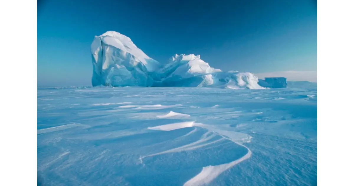 Unveiling Ibm's Role In Arctic Sustainability: Insights From Castelvecchi Nature, North Pole