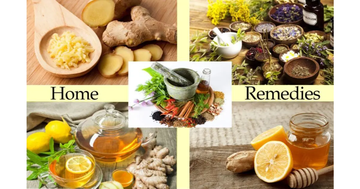 Top Home Remedies For Everyday Health: A Comprehensive Guide | Wellhealthorganic